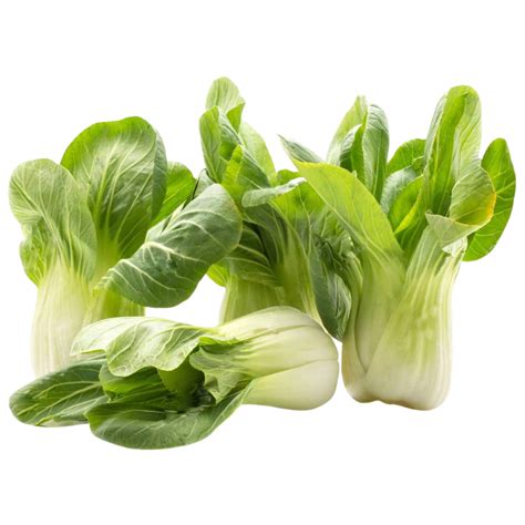 Bok Choy Hydroponically Grown, 125 to 200 g – Vexotics