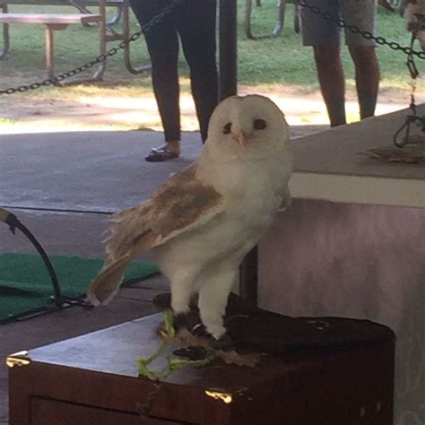 Ox Bow Park (Goshen) - 2022 Alles wat u moet weten VOORDAT je gaat ...