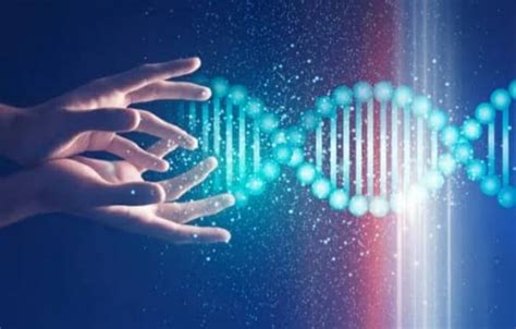 DNA Activation Code 的图像结果