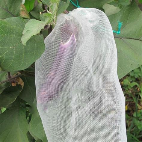 Image result for Insect Mesh Cover