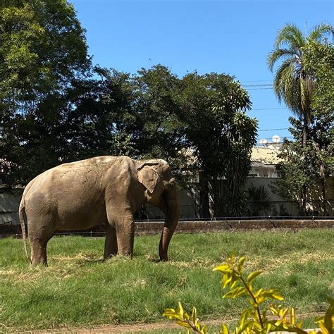 PARQUE ZOOLOGICO MUNICIPAL QUINZINHO DE BARROS (2025) All You Need to ...