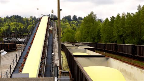 Buy Local PCT 的图像结果