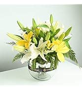 FlowerAura Fresh Live Teddy Flower Bouquet of 500 Red Roses Flowers For ...