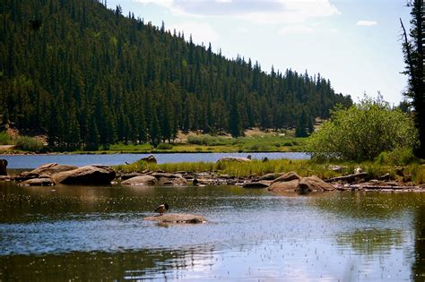 Echo Lake Campground Colorado: Reservations & Amenities