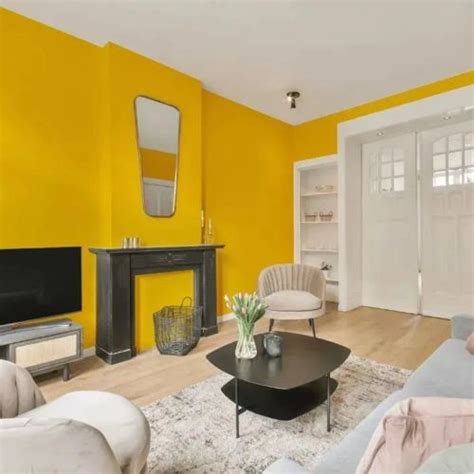 Light yellow NCS paint colors reviews