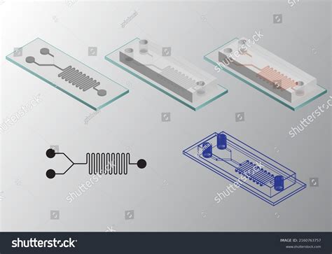 Microfluidic Chip 的图像结果
