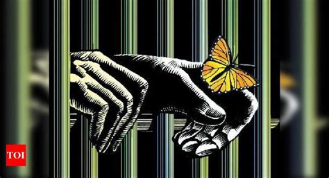 Acharya bats for rights panel | Kohima News - Times of India