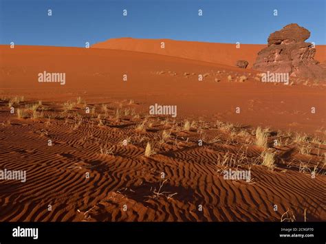 Image result for Bresenham Line Algorithm in Computer Graphics
