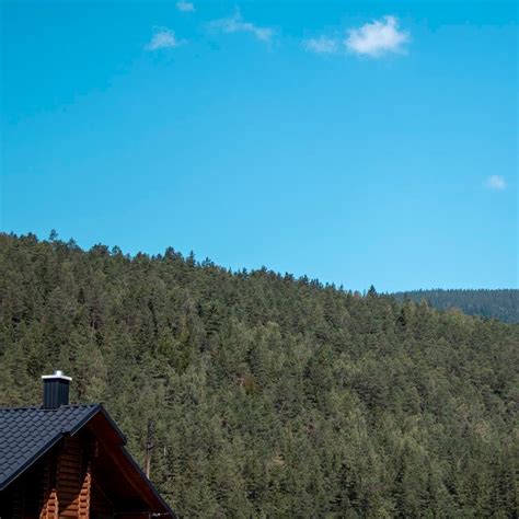 Pine clad hills Images - Free Download on Freepik