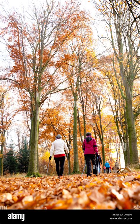 Outdoor Sports 的图像结果