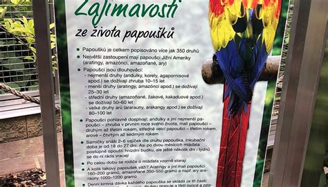 PAPOUSCI ZOO - All You Need to Know BEFORE You Go 2026 (with Photos ...