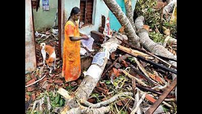 Lessons from Gaja can bring winds of change | Chennai News - Times of India