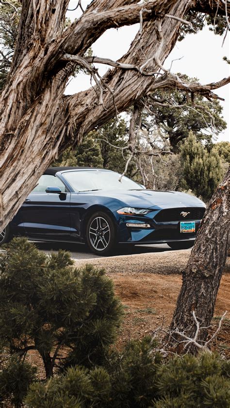 Download wallpaper 1350x2400 ford mustang, ford, car, convertible, blue ...