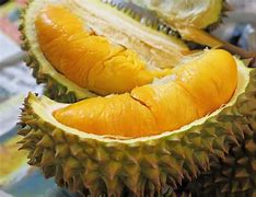 Image result for durians
