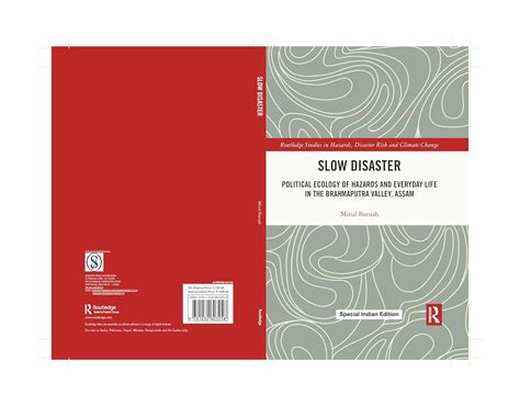 Buy SLOW DISASTER: POLITICAL ECOLOGY OF HAZARDS AND EVERYDAY LIFE IN ...