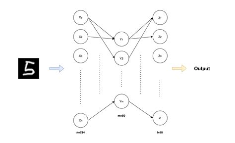 TypeScript Tutorial the Net Ninja 的图像结果