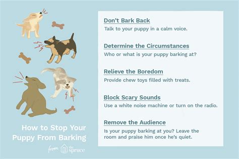The 6 Reasons Dogs Bark (And How to Make Them Stop!) - Page 13 of 13 ...