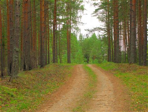 Russia 的图像结果