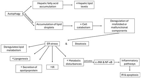 From Supplements to Therapeutics: Repurposing Antioxidant Compounds in ...