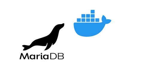 Connect Local Database From Docker 的图像结果