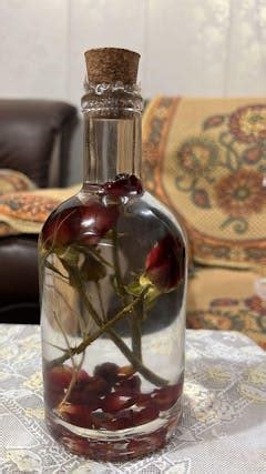 Vernonia Elaeagnifolia Curtain Creeper Plant