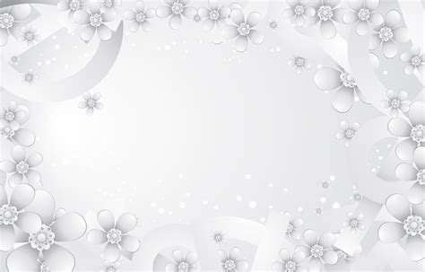 White Flower White Background