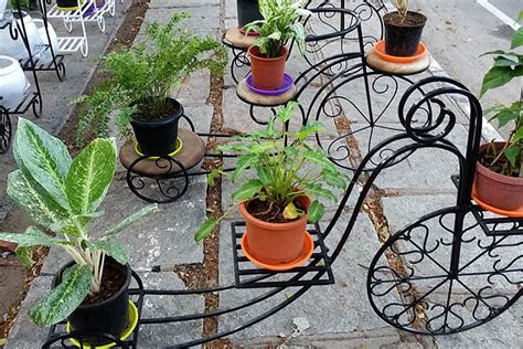 The Pot Shop Home Decor Store Adyar | LBB, Chennai