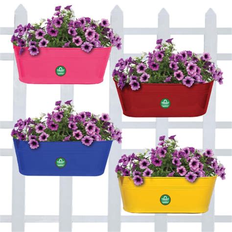 TrustBasket Offers And Promotions | Online Garden Store
