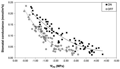 The Ecophysiological Response of Olive Trees under Different Fruit Loads