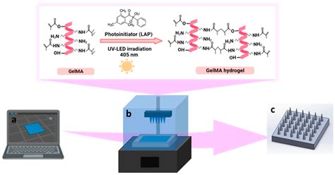 Advancements in Materials for 3D-Printed Microneedle Arrays: Enhancing ...