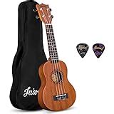 Juarez JRZ23UK/NA 23" Concert Size Ukulele Kit, AQUILA Strings, Sapele ...