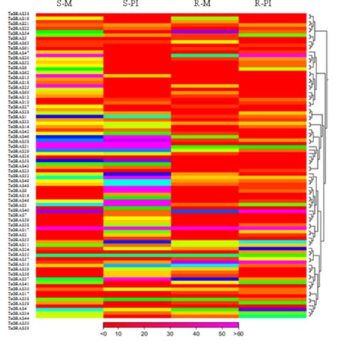 Expression analysis of identified TaGRAS TFs in wheat under leaf rust ...