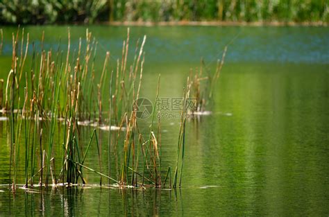 水塘图片大全_水塘高清图片下载_图片网