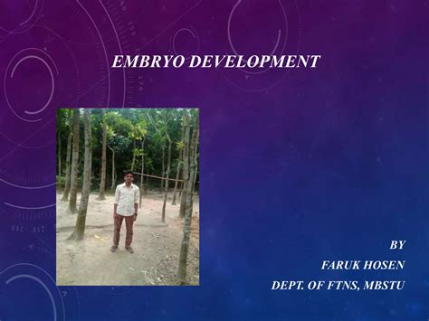 Image result for Third Week Development of Embryo