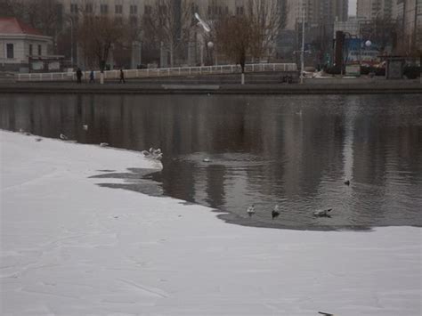 Haihe Bund Park (Tianjin) - 2019 What to Know Before You Go (with ...