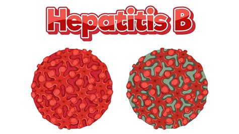 Hepatitis Stool