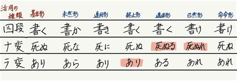 Auto Docstring Visual Studio 的图像结果