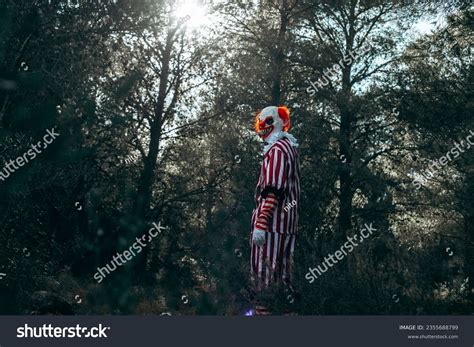 2,844 Clown Walk Images, Stock Photos, 3D objects, & Vectors | Shutterstock