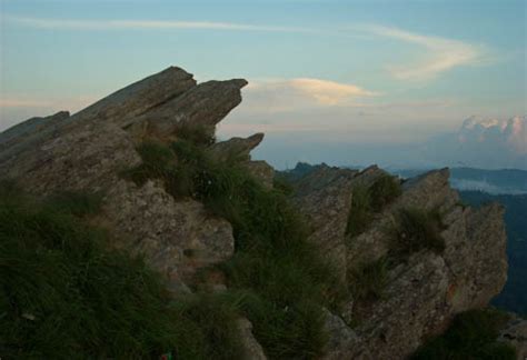 Chauthi Jaali | IndiaUnveiled