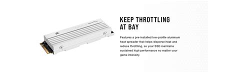 Amazon.in: Buy Corsair MP600 PRO LPX 2TB M.2 NVMe PCIe x4 Gen4 SSD ...