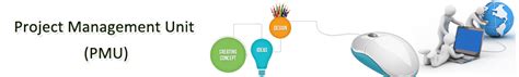 Project Management Unit (PMU) for IFMS