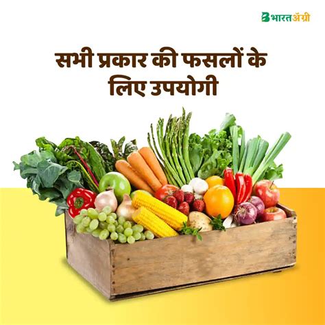 IFC Zinc EDTA 12% Fertilizer - 250 gm (1+1 Free) | Buy Now – BharatAgri ...