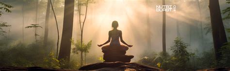 Embracing the Holistic Wellness Path – Nutriburstindia