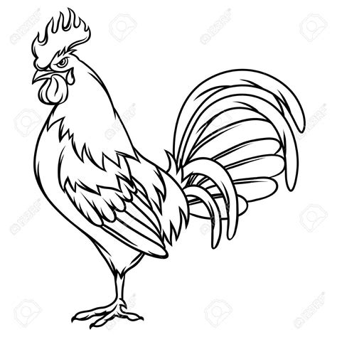 Rooster Drawing Vector Drawings Outline Chicken Clipart Cute Roosters Colourbox Simple Clip ...