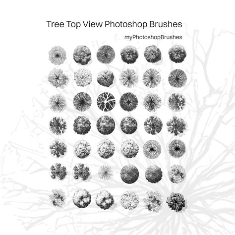 50 Free Photoshop Brushes To Download Now Photoshop 500x448