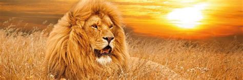 Garden of Eden Safari | Mercury Travels