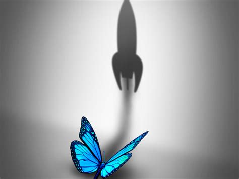 Different kinds of association | Meer