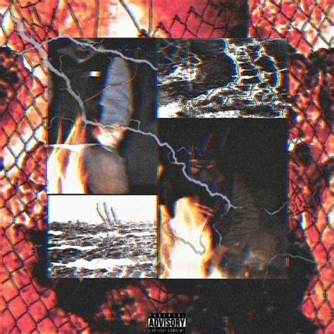 Image result for Shells Lil