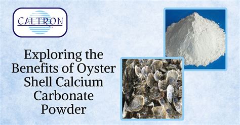 Exploring the Benefits of Oyster Shell Calcium Carbonate Powder | Caltron Clays