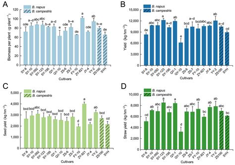 Comprehensive Evaluation of the Efficient and Safe Utilization of Two ...